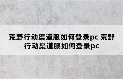 荒野行动渠道服如何登录pc 荒野行动渠道服如何登录pc